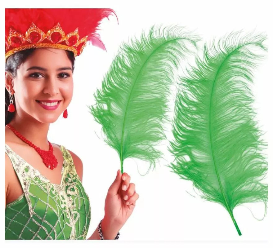 Translation missing: de.Pluma de Avestruz Gigante en varios colores 50 cm