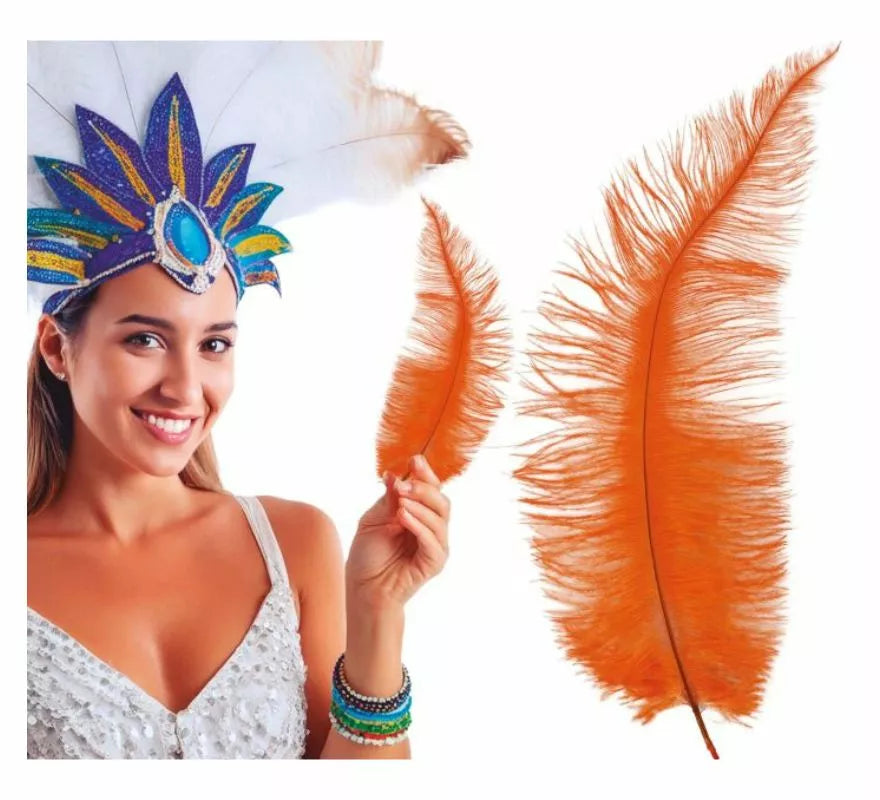 Translation missing: de.Pluma de Avestruz Grande en varios colores 40 cm