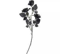 Strauß schwarzer Rosen mit Augen