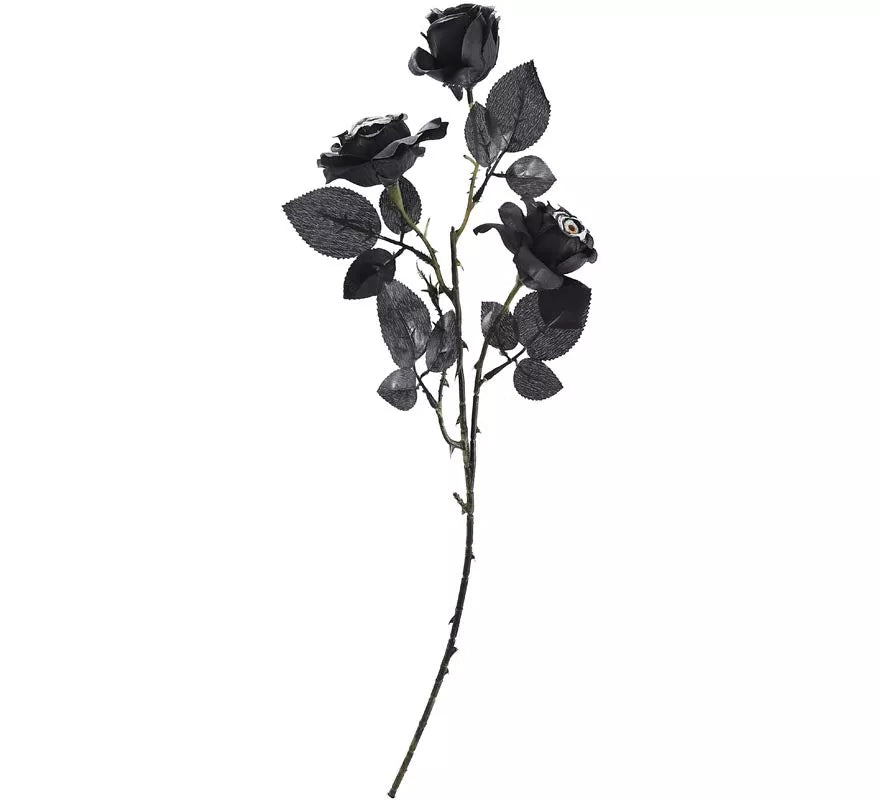 Translation missing: de.Ramo de Rosas negras con Ojos
