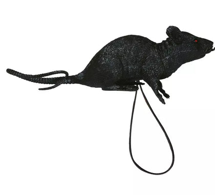 Rata con Elástico para Hombro de 16 cm