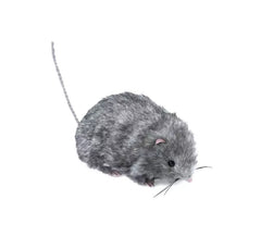 27 cm große graue Pelzmaus