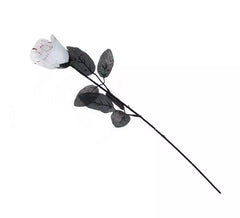Weiße Rose mit Blut