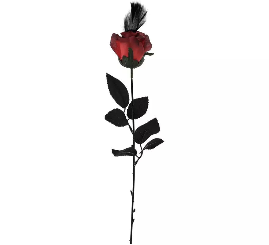 Translation missing: de.Rosa con Pluma 40 cm