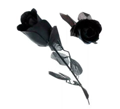 Schwarze Rose mit schwarzen Blättern