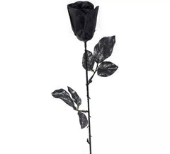 43 cm schwarze Rose