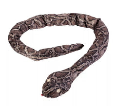 170 cm große Pythonschlange