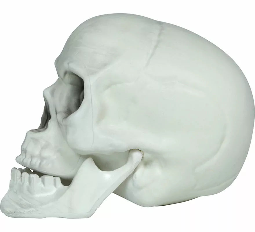 Translation missing: de.Set 3 Calaveras de 15 cm