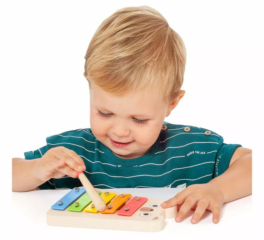 Translation missing: de.Set Instrumentos Musicales infantil
