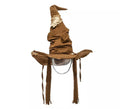 Sombrero de Brujo marrón desgastado