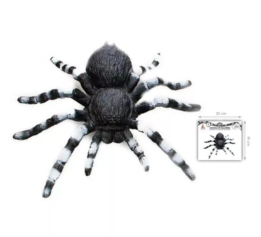 Translation missing: de.Tarántula de patas blancas de 18x12 cm