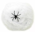 Telaraña de 20 gramos con Araña