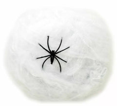 Spinnennetz von 20 Gramm mit Spinne